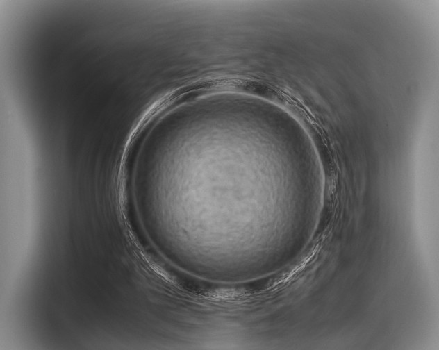 X0000116060101200911271251