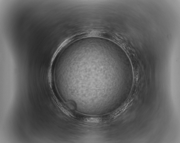 X0000116060102200911271251