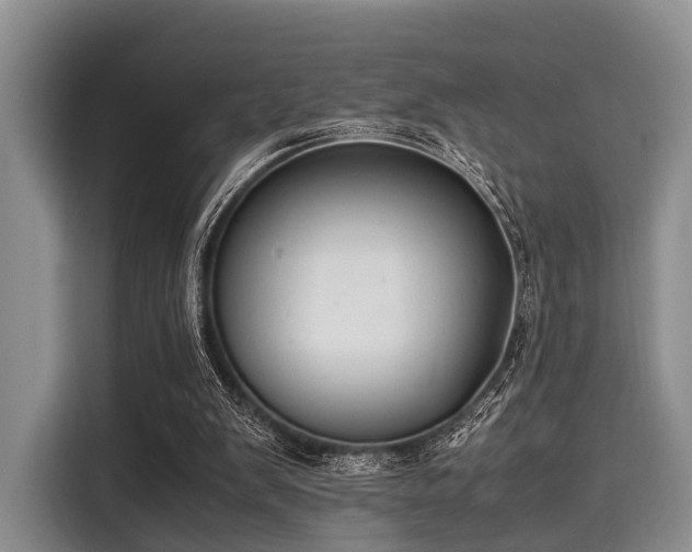 X0000116060103200911271251