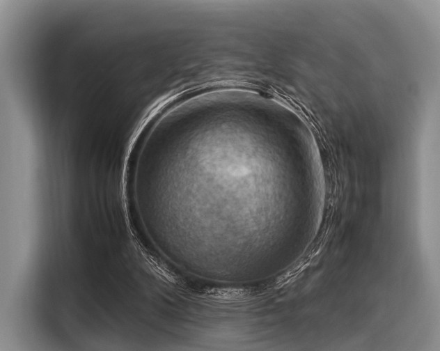 X0000116060104200911271251