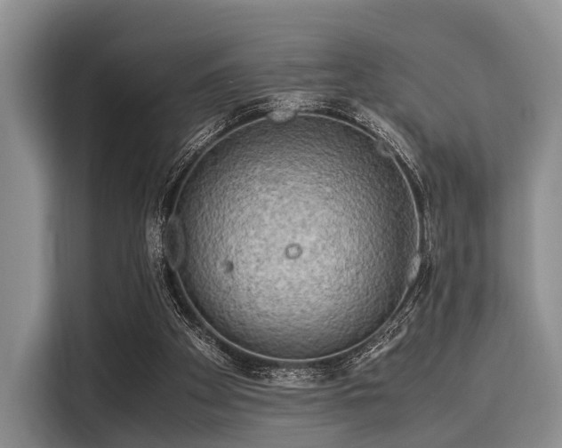X0000116060105200911271251