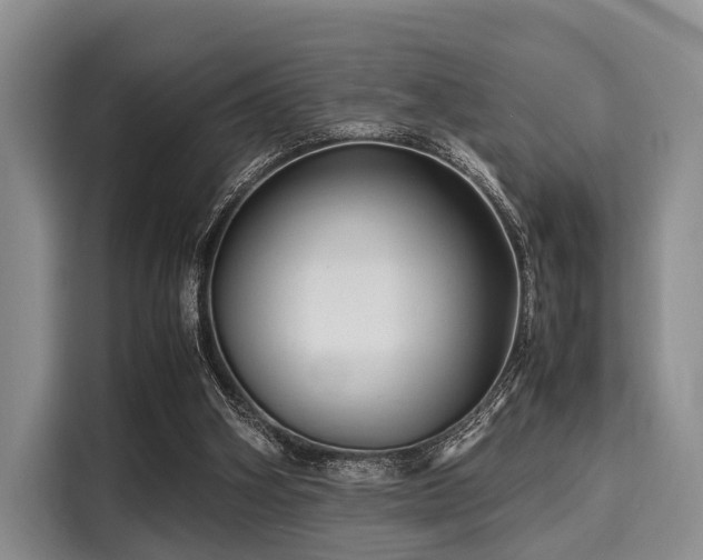 X0000116060106200911271251