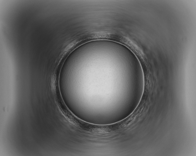 X0000116060107200911271251