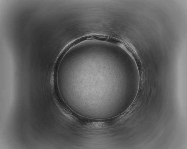 X0000116060108200911271251