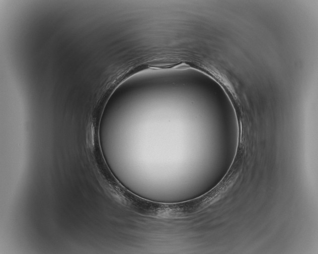 X0000116060109200911271251