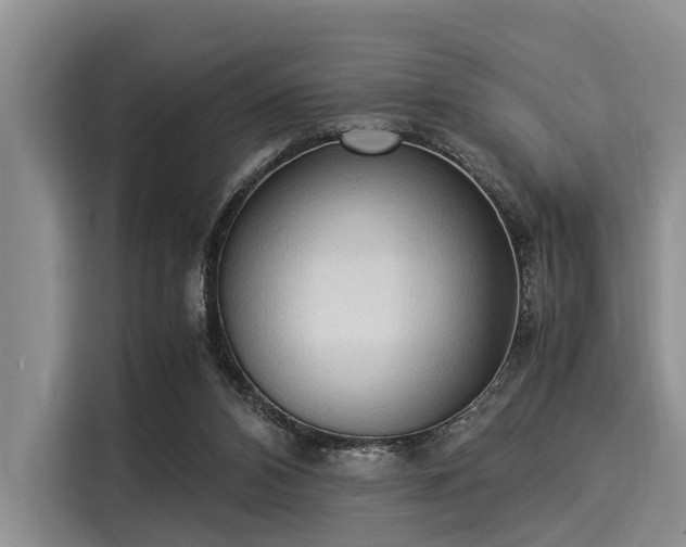 X0000116060112200911271251