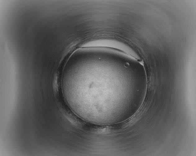 X0000116060116200911271250