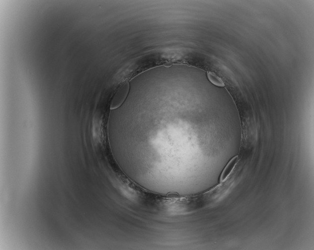 X0000116060136200911271250