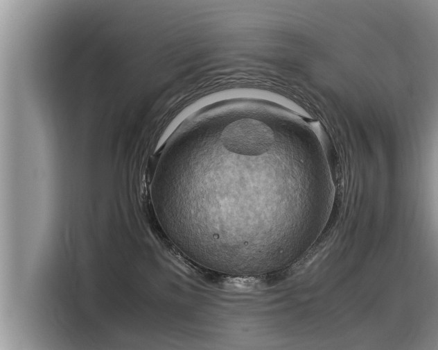X0000116060137200911271250