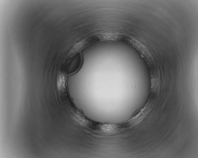 X0000116060142200911271250