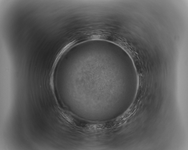 X0000116060147200911271250