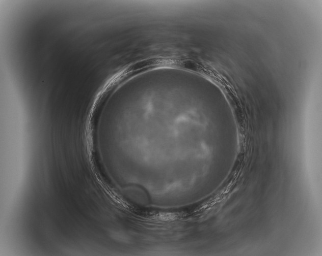 X0000116060149200911271250
