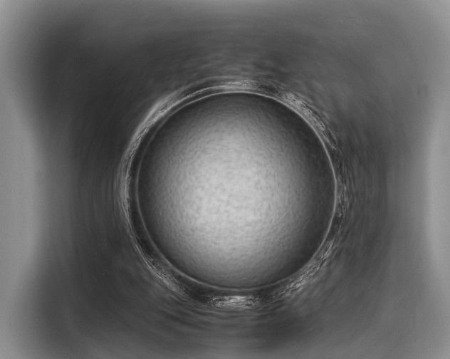 X0000116060151200911271250