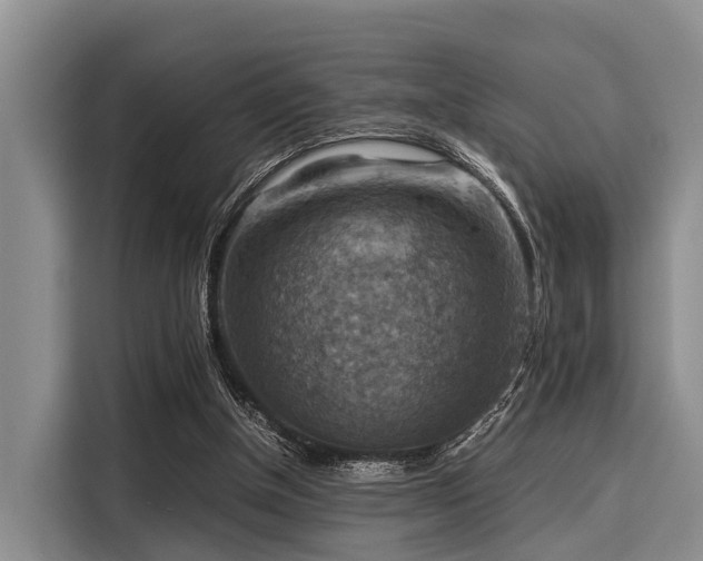 X0000116060154200911271250