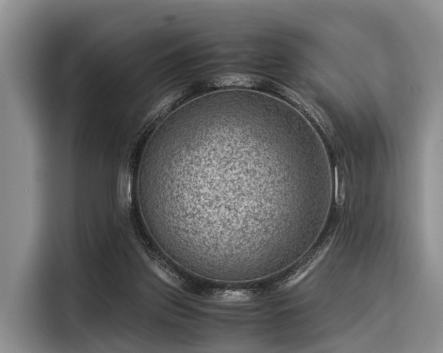 X0000116060157200911271250