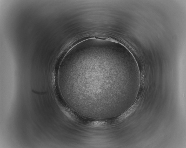 X0000116060158200911271250