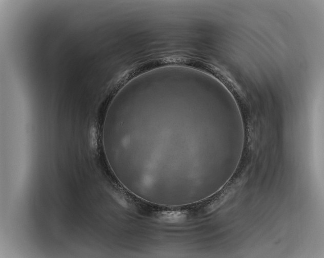 X0000116060161200911271250