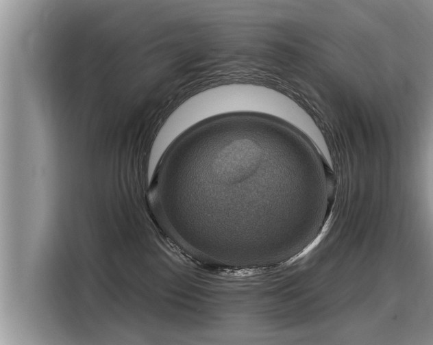 X0000116060186200911271250