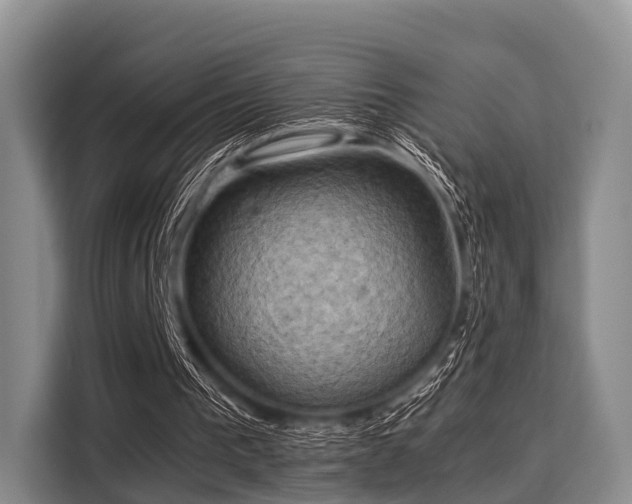 X0000116060193200911271249