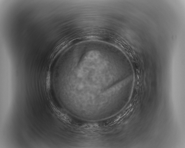 X0000116060194200911271249
