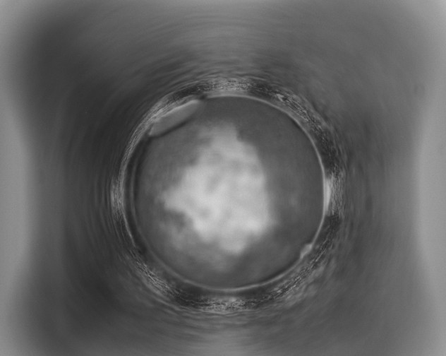 X0000116060195200911271249