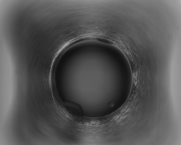 X0000116060196200911271249