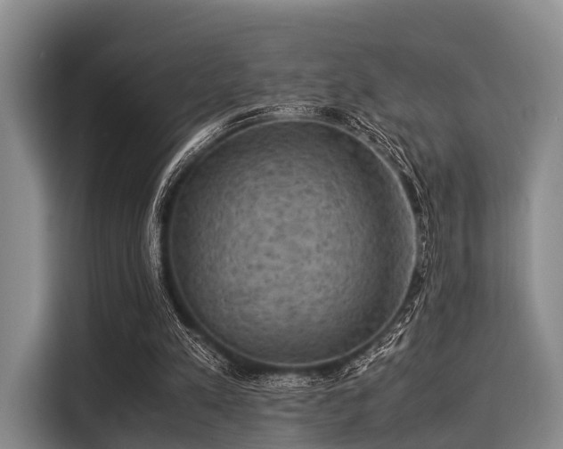 X0000116060197200911271249