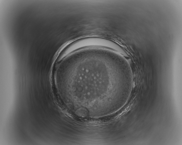 X0000116060200200911271249