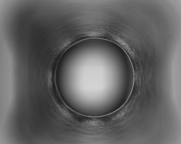 X0000116060201200911271249