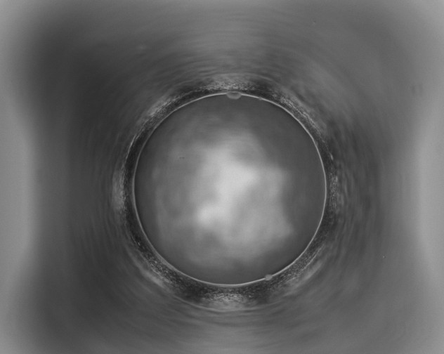 X0000116060203200911271249