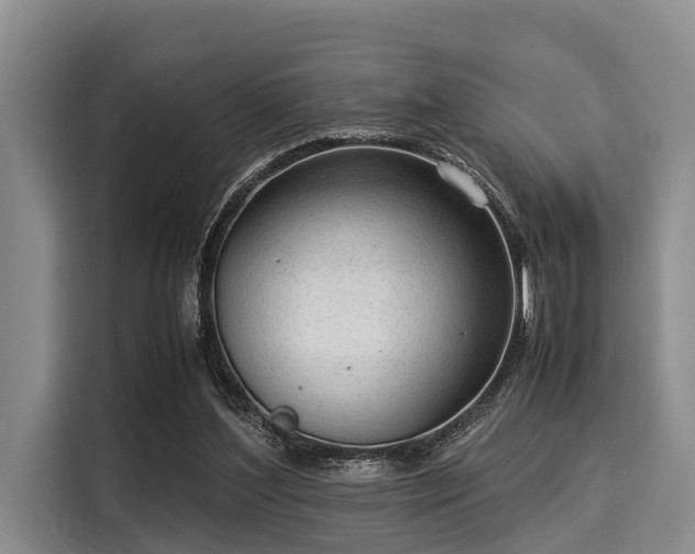 X0000116060204200911271249