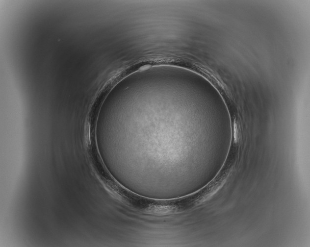 X0000116060205200911271249