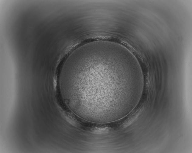 X0000116060206200911271249