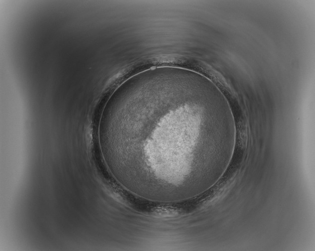 X0000116060207200911271249