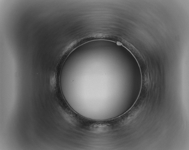 X0000116060208200911271249