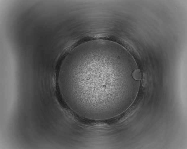 X0000116060210200911271249