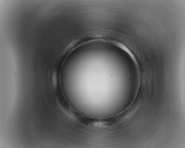 X0000116060216200911271249