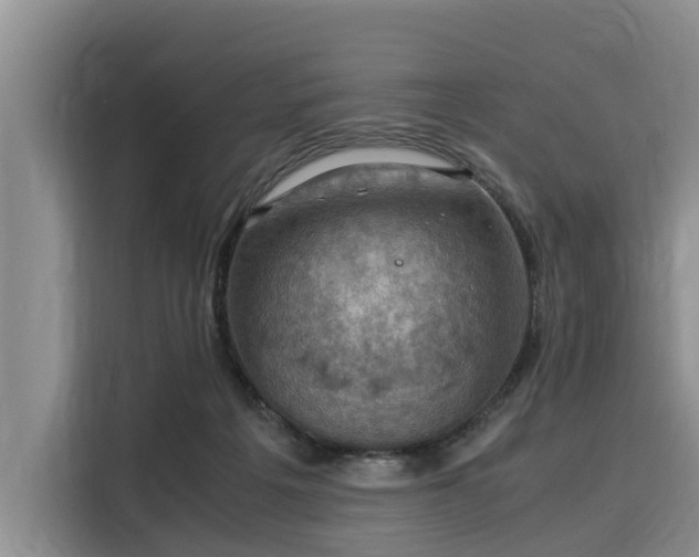 X0000116060217200911271249