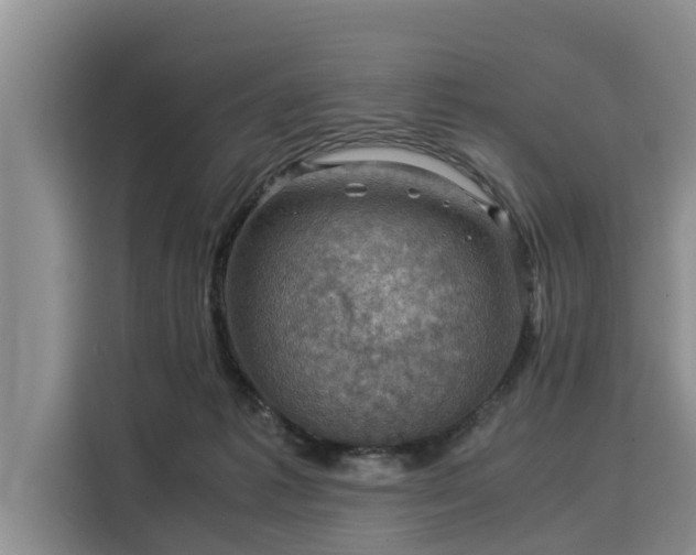 X0000116060221200911271249