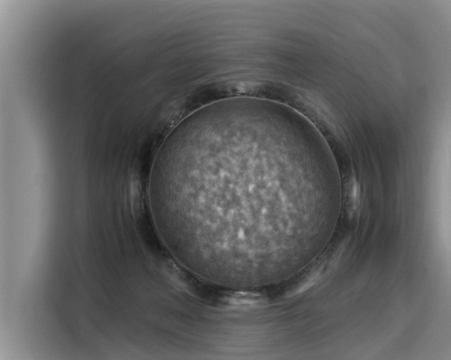 X0000116060222200911271249