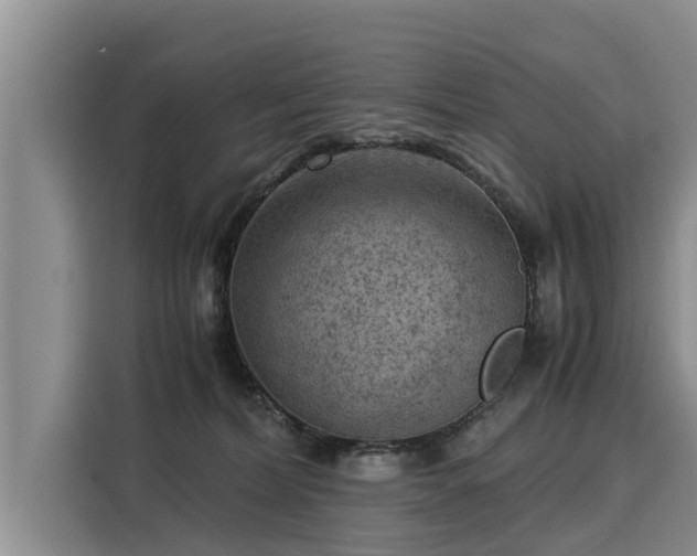 X0000116060228200911271249