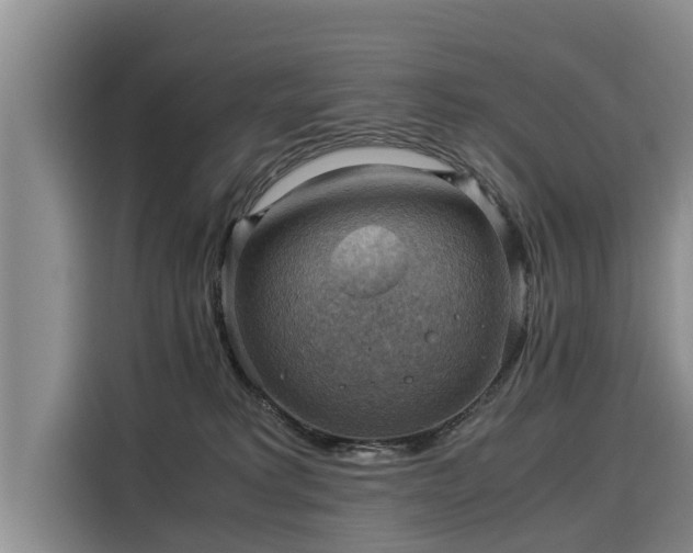 X0000116060229200911271249