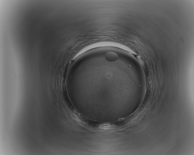 X0000116060231200911271249