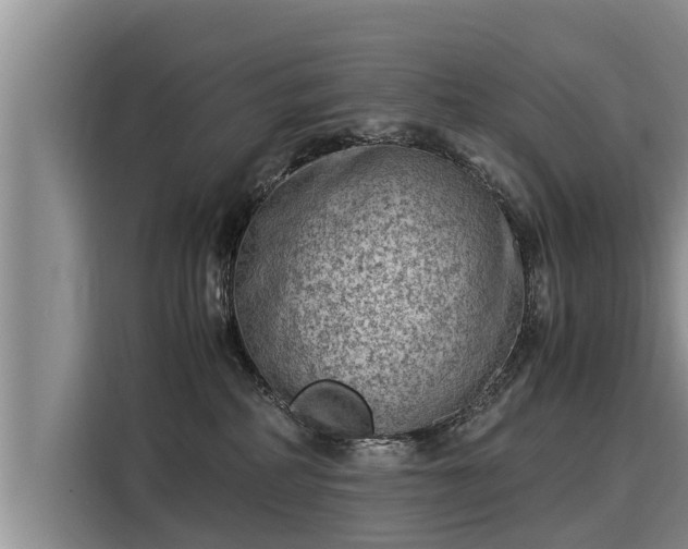 X0000116060234200911271249