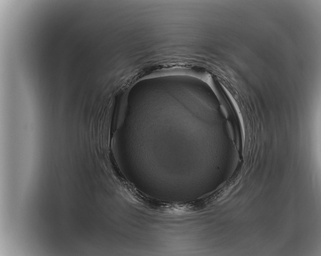 X0000116060235200911271249