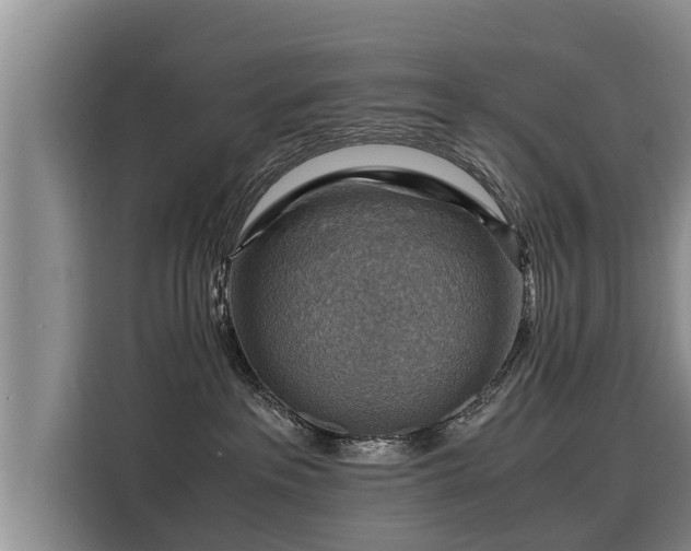 X0000116060237200911271249