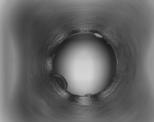 X0000116060240200911271249
