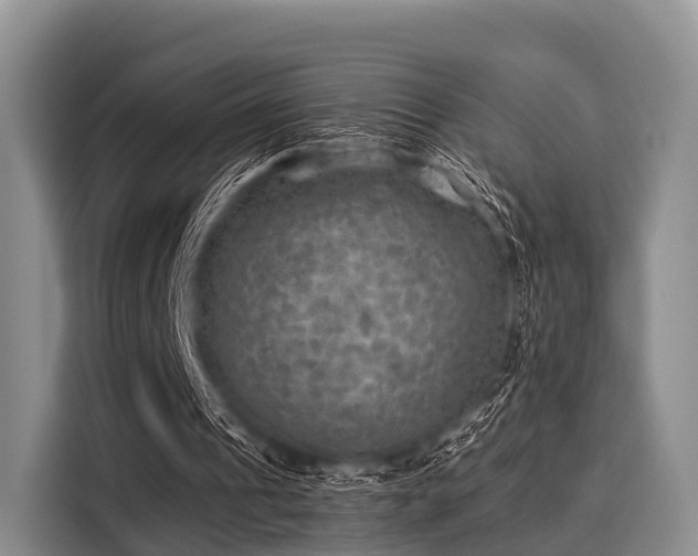 X0000116060241200911271248