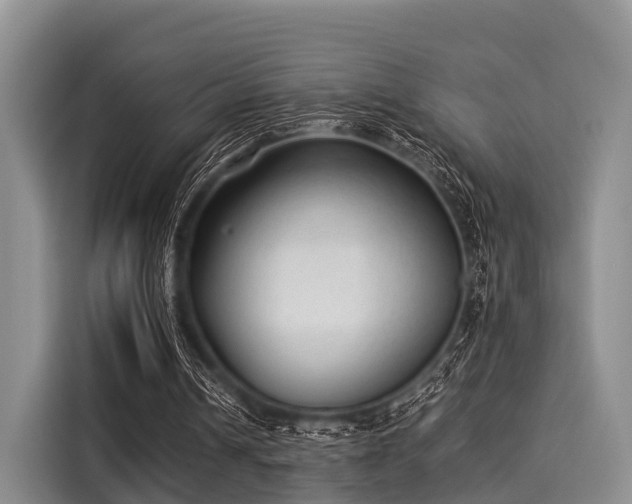 X0000116060242200911271248