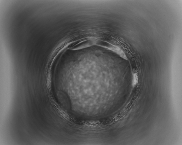 X0000116060243200911271248